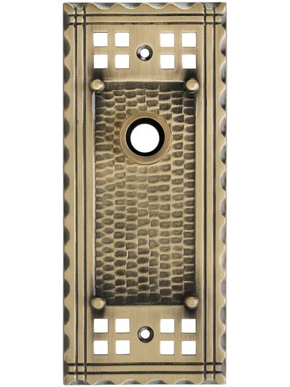 Pasadena Forged-Brass Back Plate in Antique Brass.